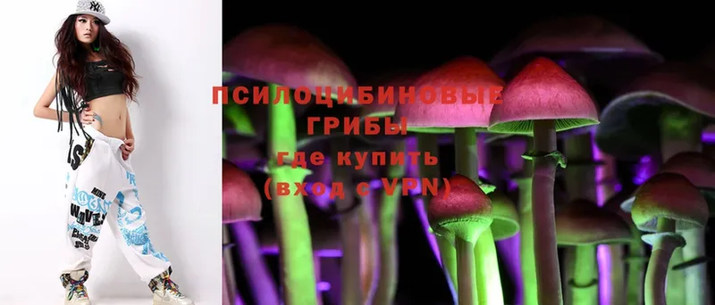 продажа наркотиков  Лакинск  Галлюциногенные грибы Psilocybe 